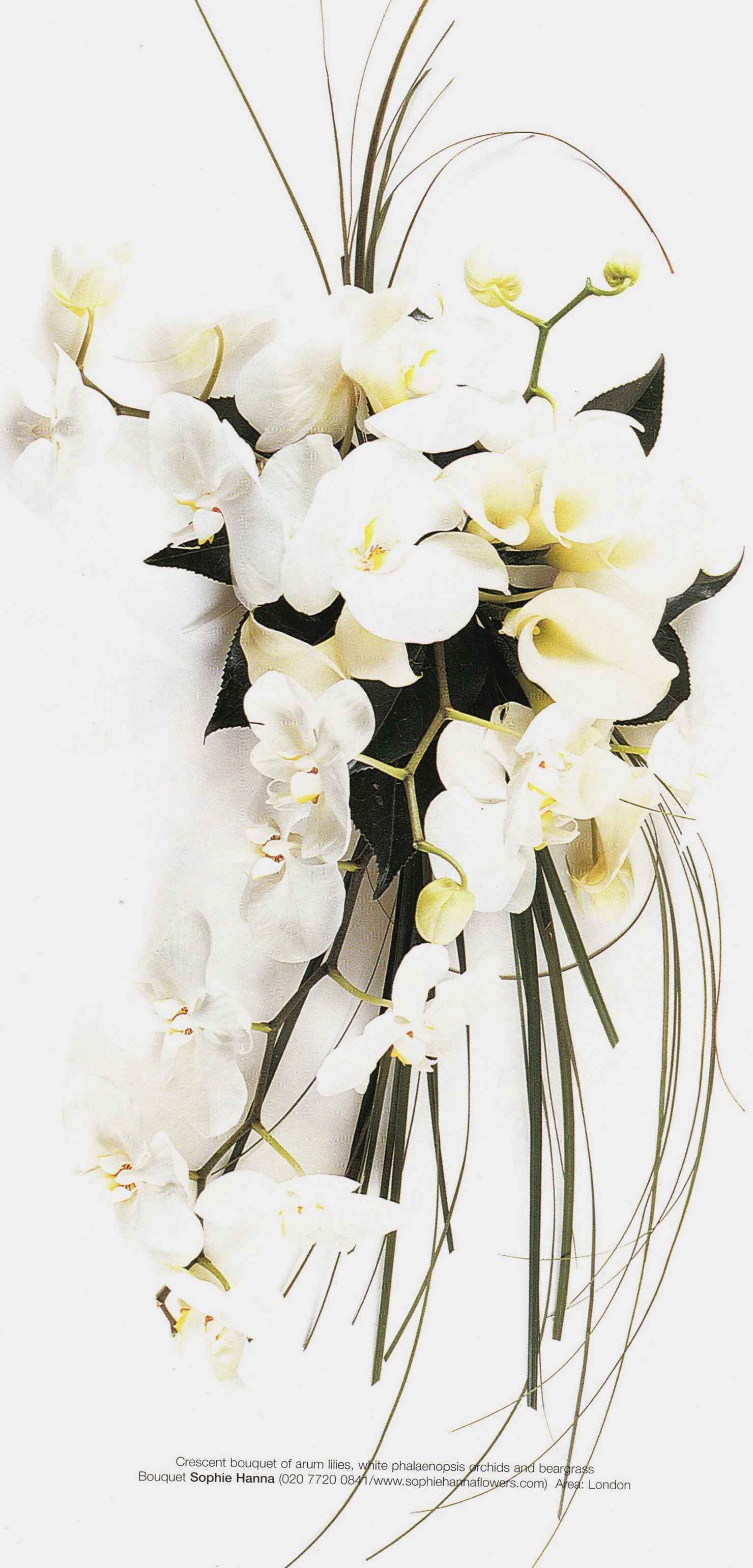 white orchid wedding bouquet