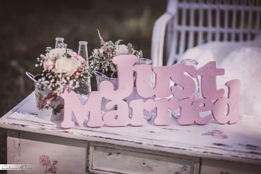 Pink photo session decor