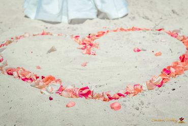 Beach pink photo session decor