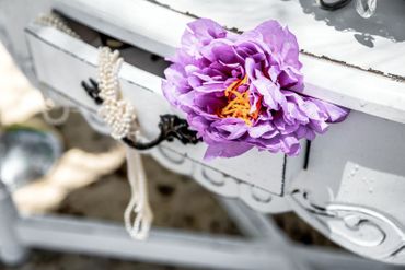 Purple photo session decor Purple photo session decor