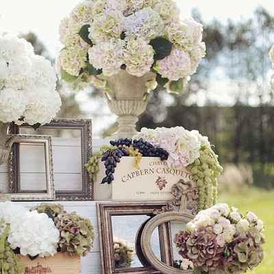 French summer photo session decor