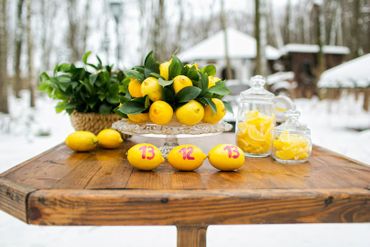 Fruit winter wedding signs