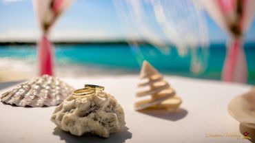 Marine wedding ring pillows