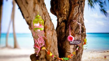 Beach pink photo session decor