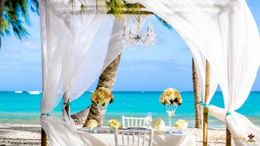 Beach yellow photo session decor